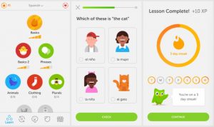 Học tiếng Anh trên di động qua Duolingo